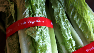 FDA Official Gives Update on E. Coli Outbreak, But You Shouldn't Eat Romaine Lettuce Just Yet